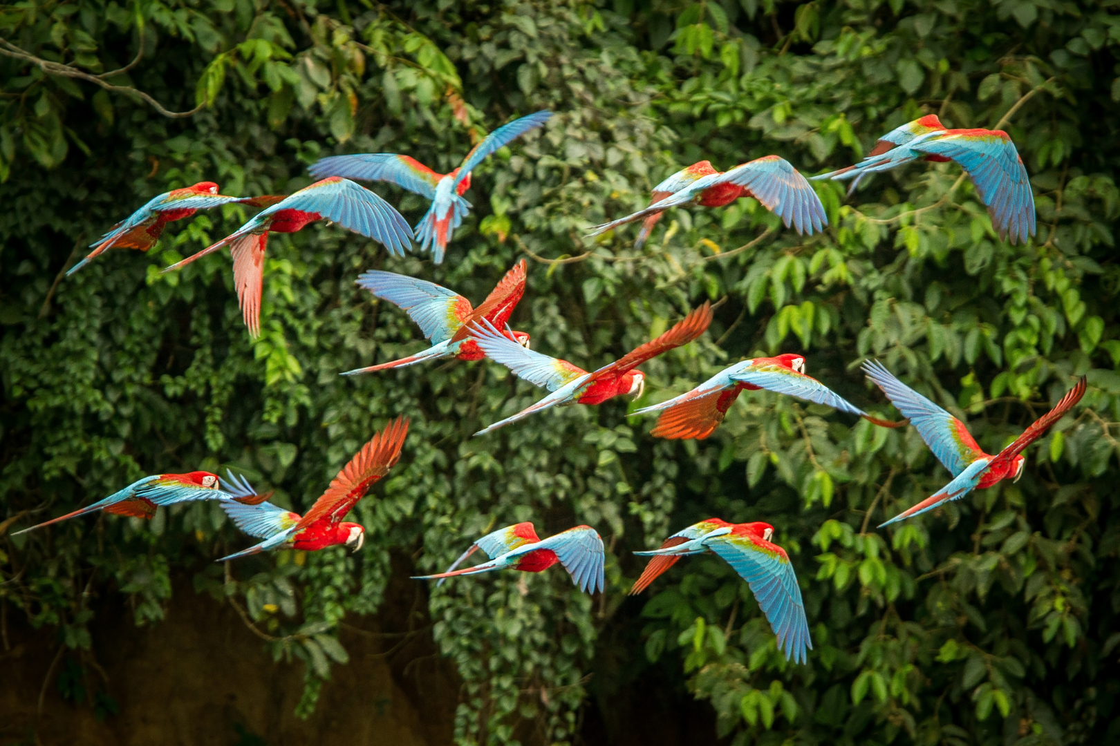 A Amazônia em ebulição