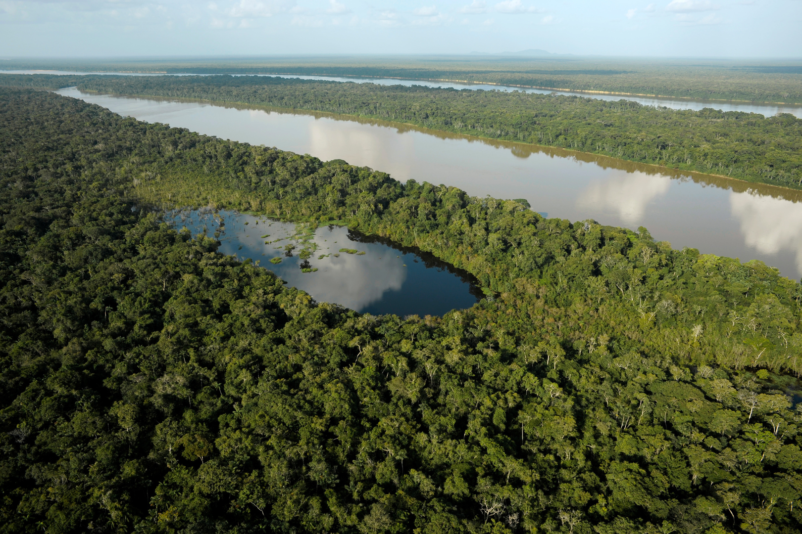 As vulnerabilidades do mercado de carbono na Amazônia