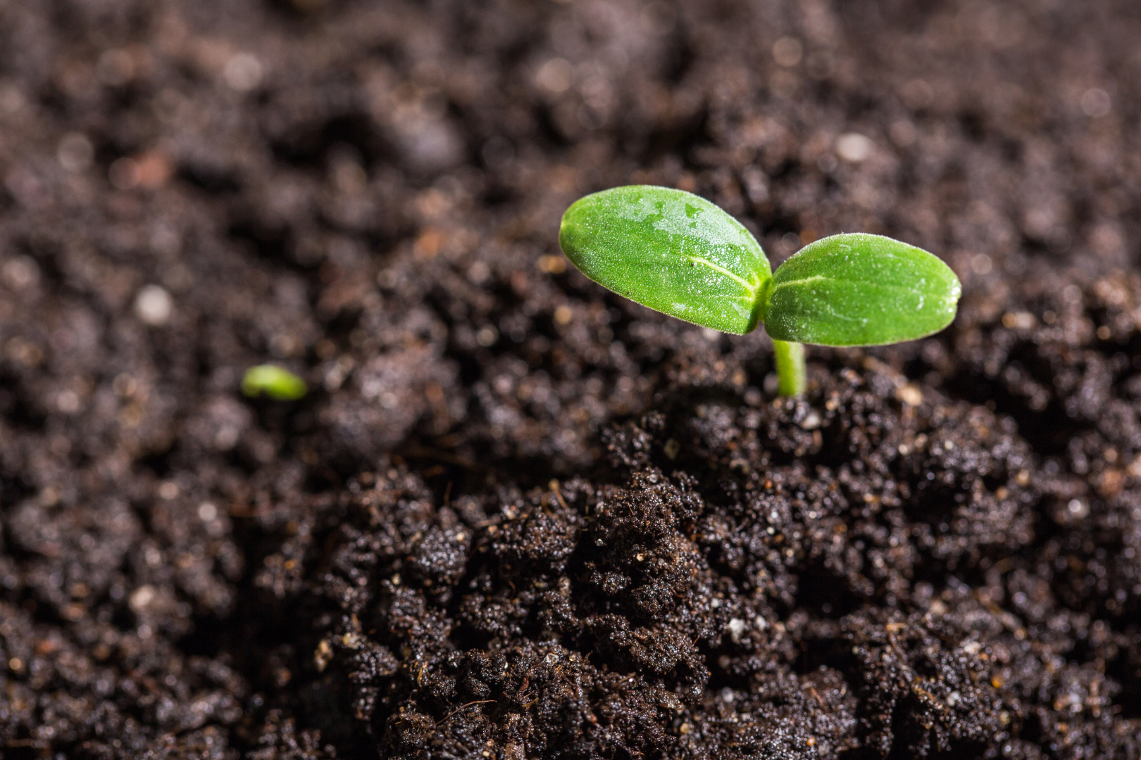 Resiliência para recomeçar