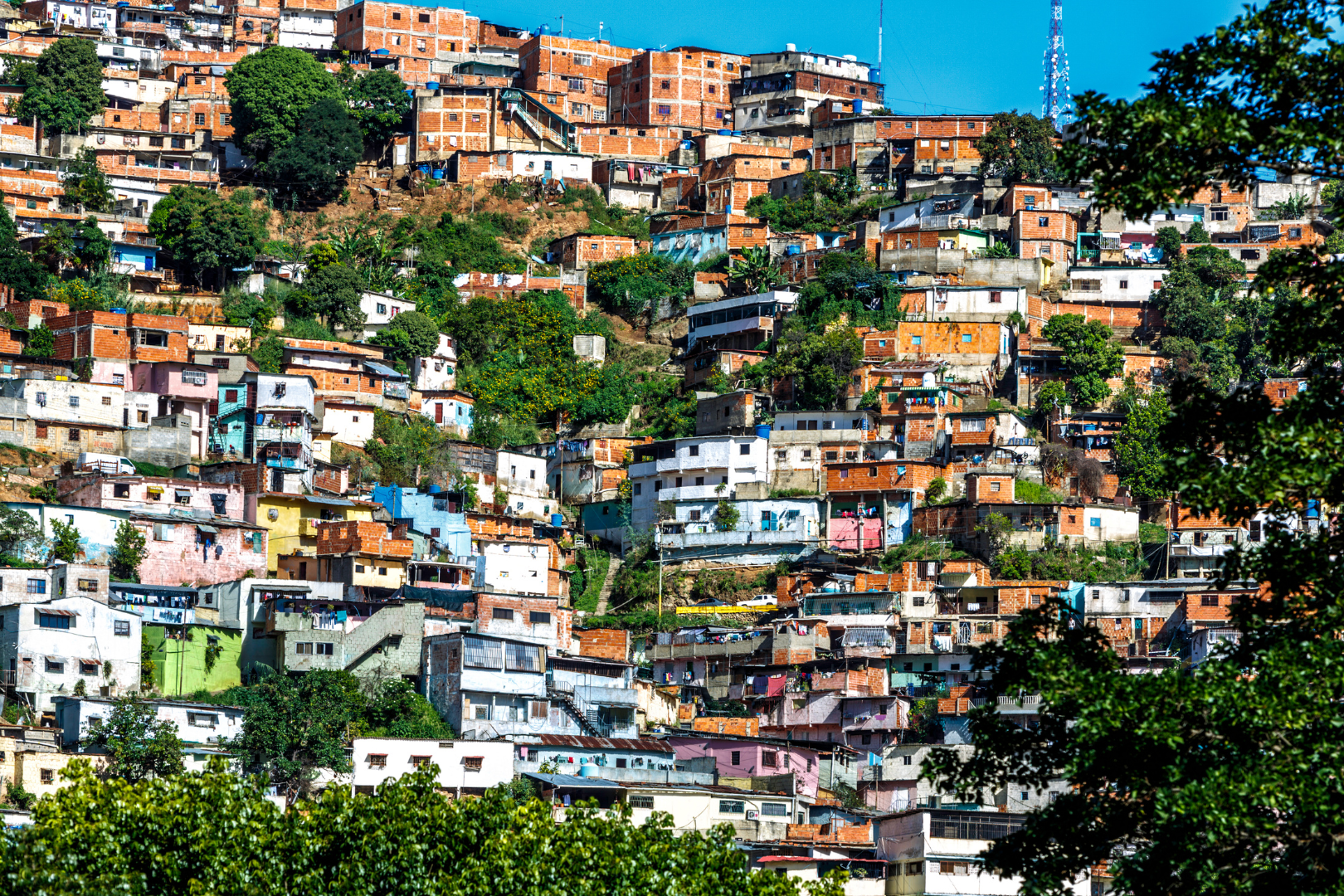 A favela no debate global