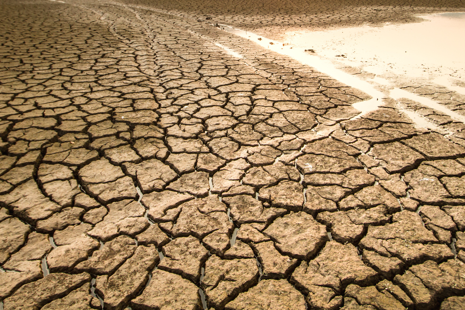 Sustentabilidade em xeque: os impactos ambientais da era digital