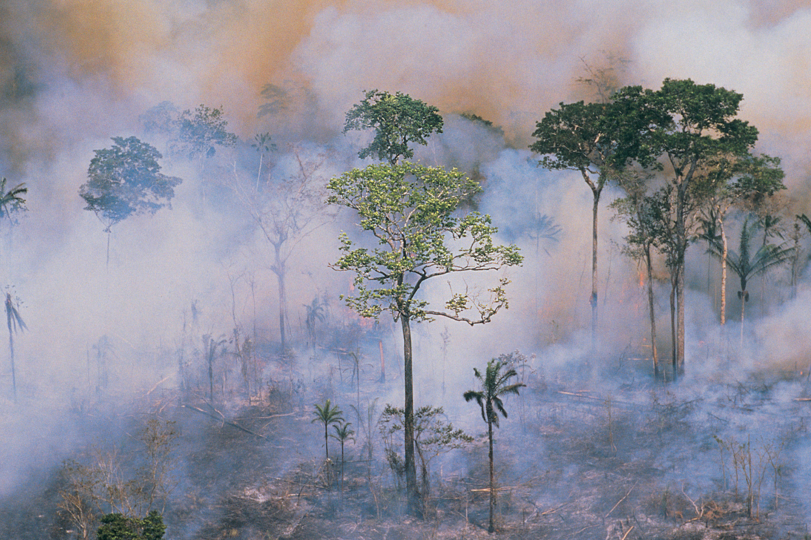 A crise climática e as eleições municipais